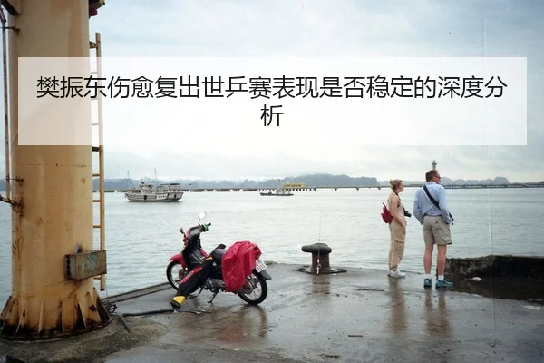 樊振东伤愈复出世乒赛表现是否稳定的深度分析